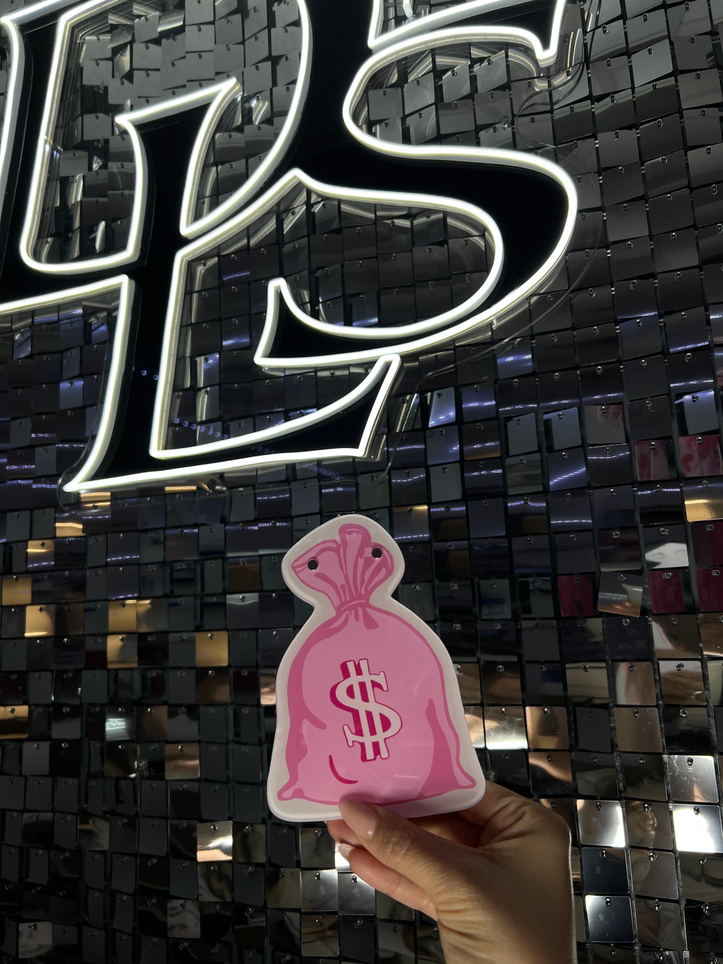 Barbie Bankroll Bag Magnetic Lash Palette