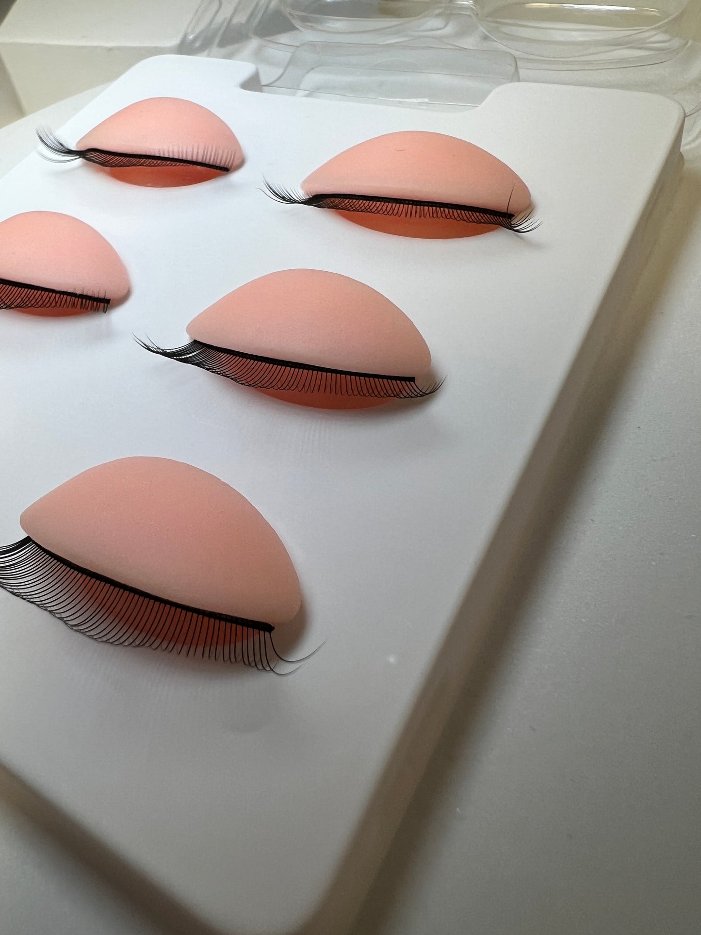 3 Pairs Eyelash Practice Eyelids