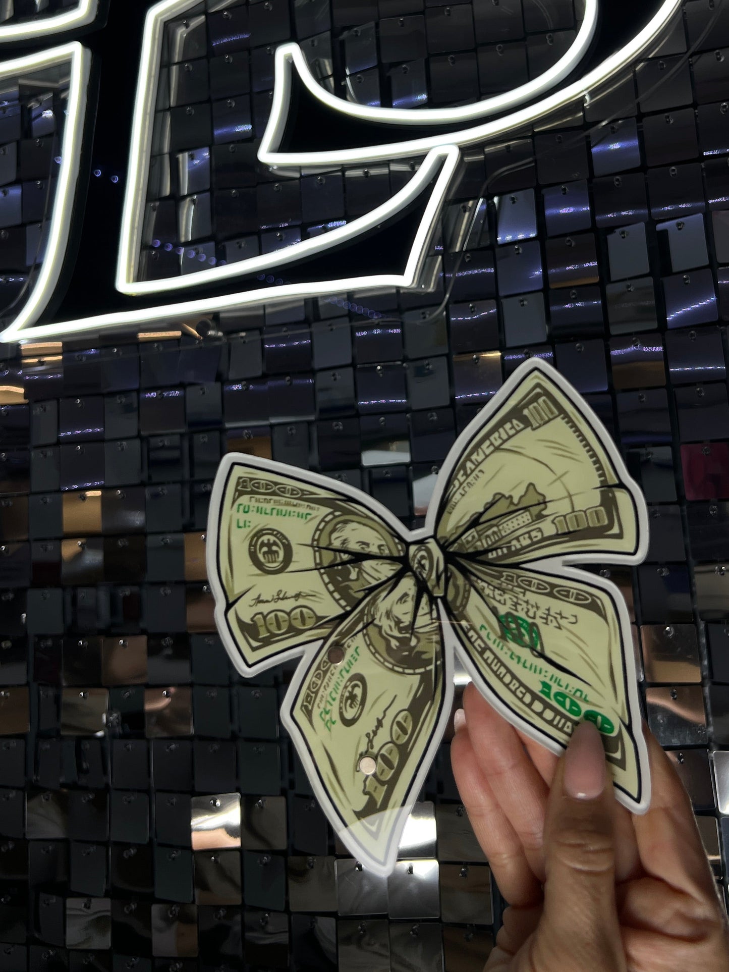 Big Bank Bow Magnetic Lash Palette