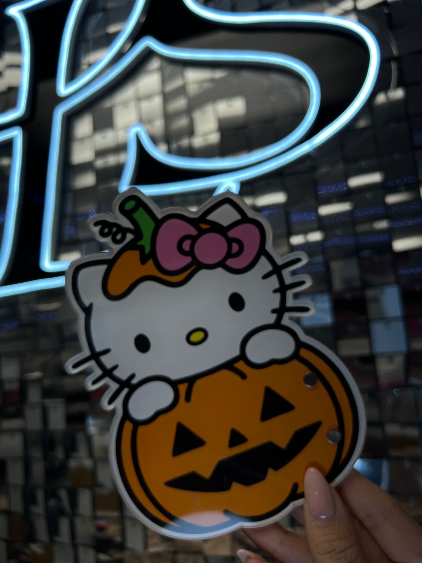 Pumpkin Kitty Magnetic Lash Palette
