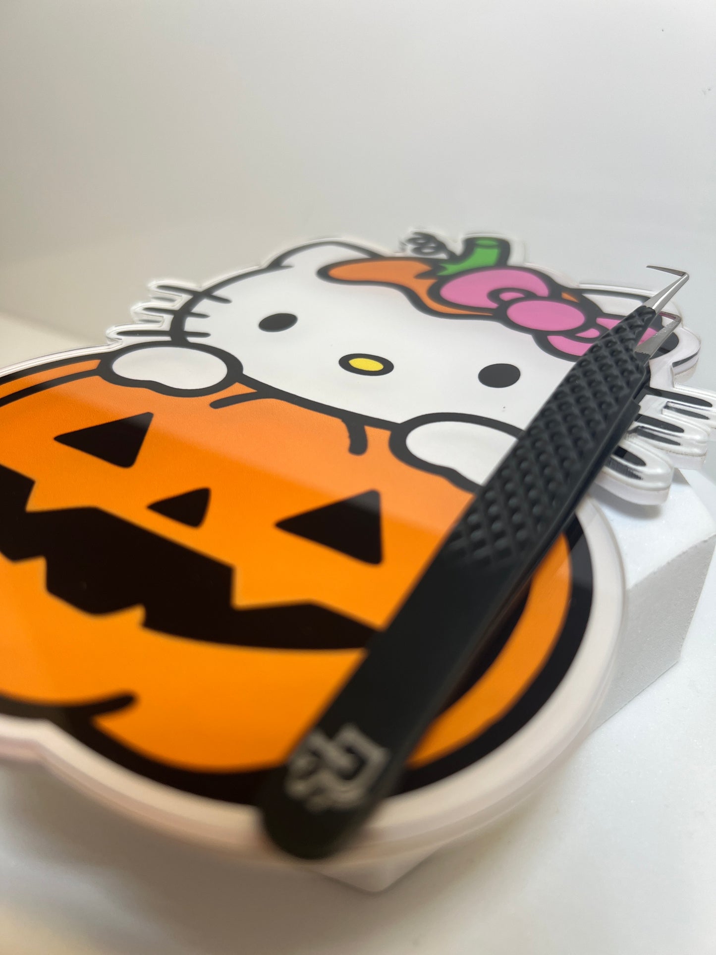 Pumpkin Kitty Magnetic Lash Palette