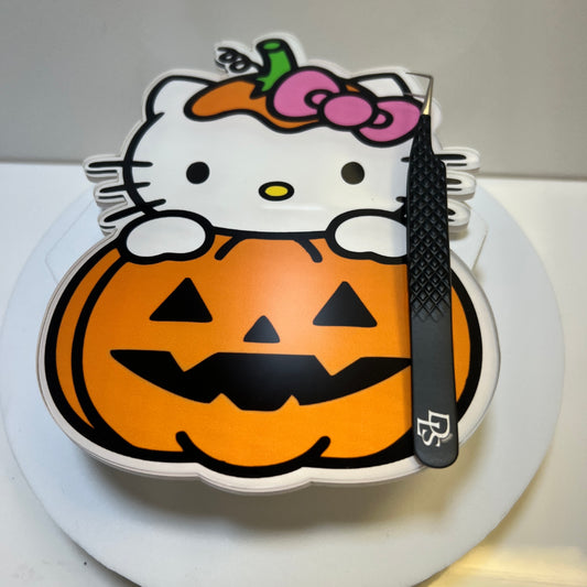 Pumpkin Kitty Magnetic Lash Palette